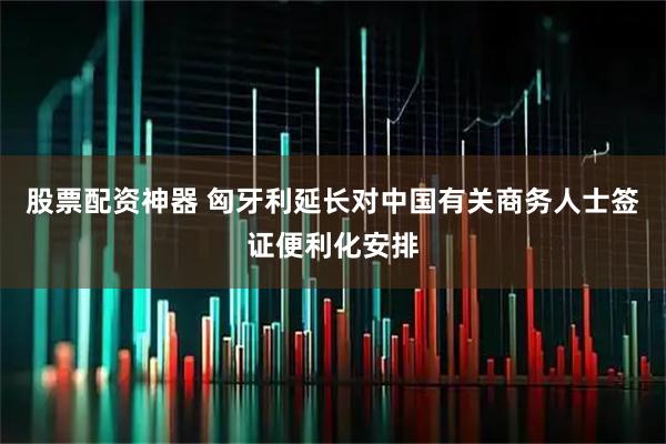 股票配资神器 匈牙利延长对中国有关商务人士签证便利化安排