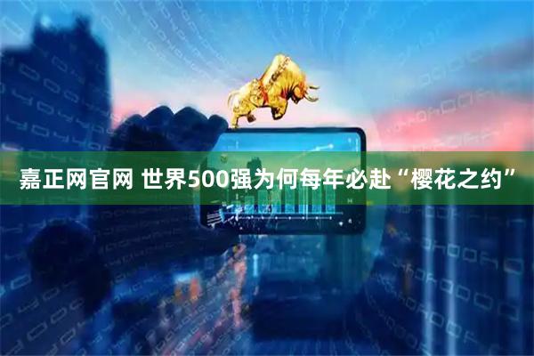 嘉正网官网 世界500强为何每年必赴“樱花之约”